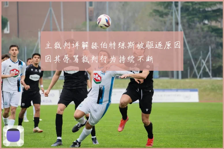 主裁判详解赫伯特琼斯被驱逐原因因其辱骂裁判行为持续不断