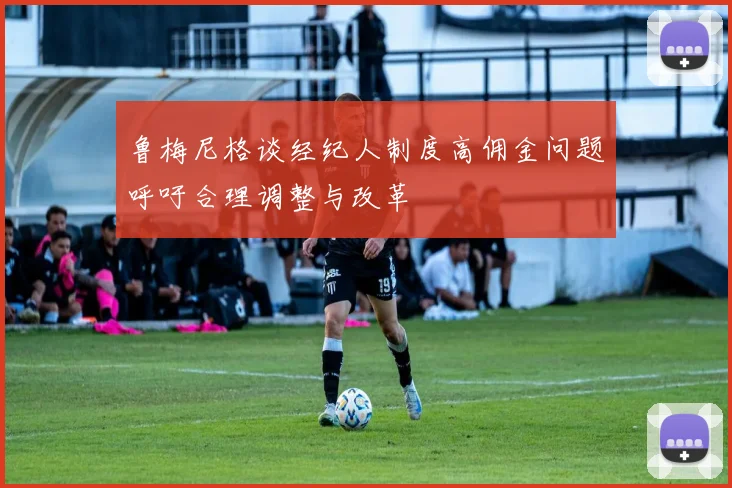 鲁梅尼格谈经纪人制度高佣金问题呼吁合理调整与改革